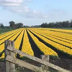 Complete Dichtbij Hoorn En Alkmaar Zuidermeer