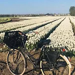 Complete Dichtbij Hoorn En Alkmaar 3*