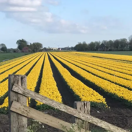 Complete Dichtbij Hoorn En Alkmaar Zuidermeer