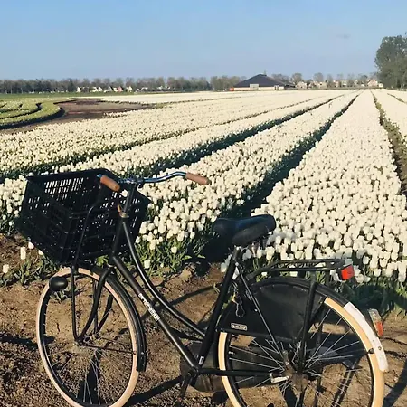 Complete Dichtbij Hoorn En Alkmaar 3*