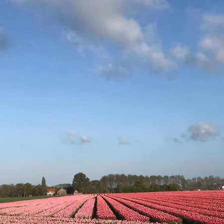 Complete Dichtbij Hoorn En Alkmaar Frühstückspension